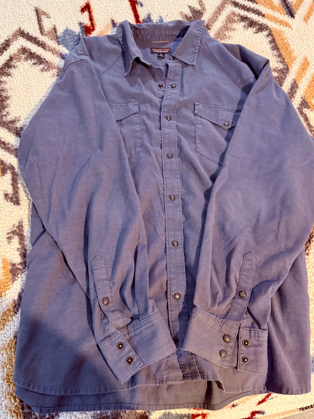 Patagonia Indigo Blue Long-Sleeve Button-Up Shirt